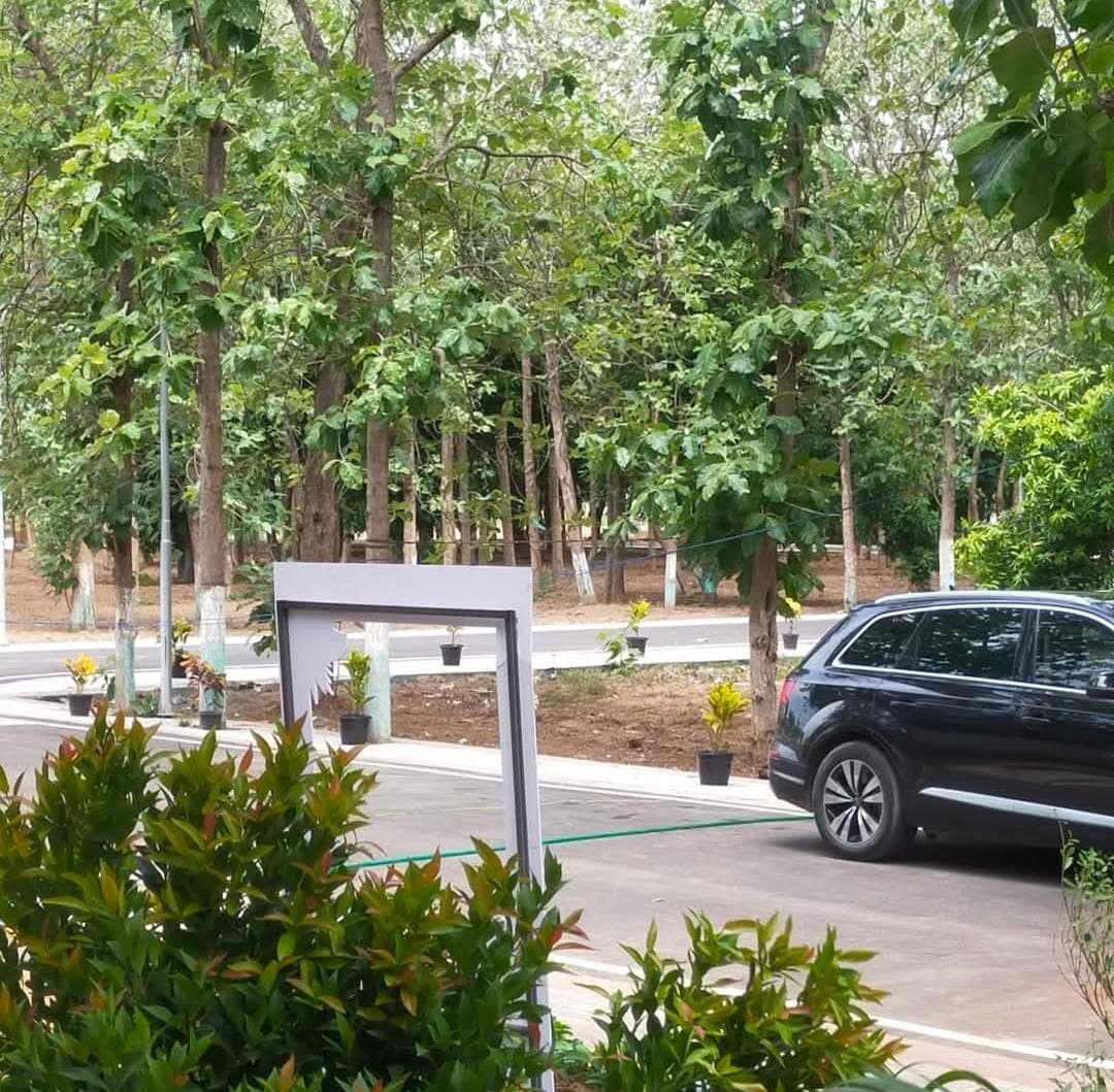 Secure your future!!! Invest in Farmland to safeguard your future/generations. - Image 13