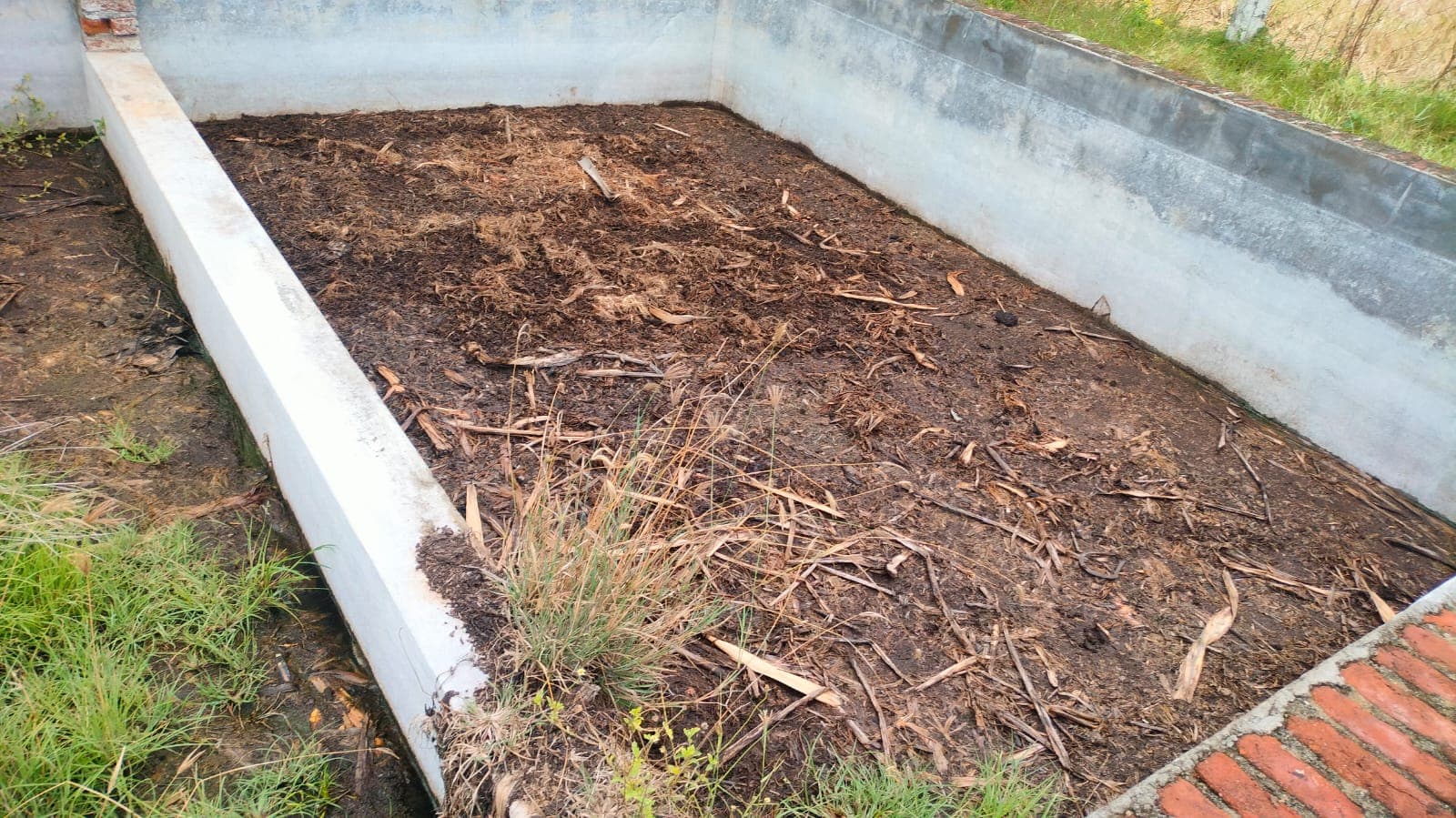 Active farm land 1.45 Acres at Nelvoyl Valathodu - Image 5