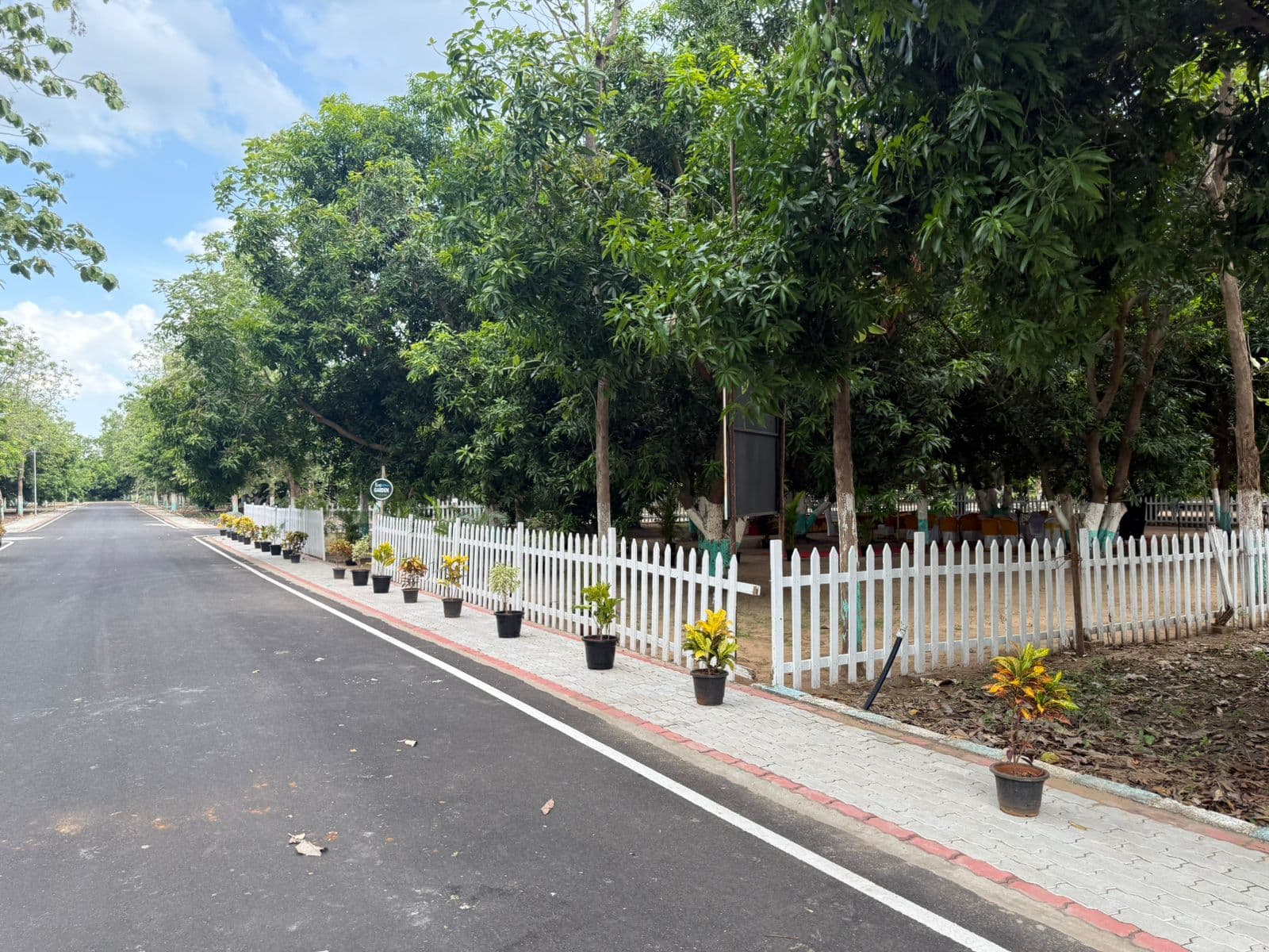 Secure your future!!! Invest in Farmland to safeguard your future/generations. - Image 19