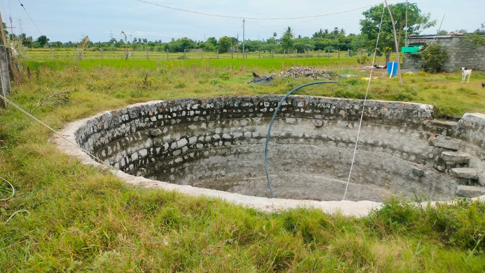 Active farm land 1.45 Acres at Nelvoyl Valathodu - Image 6