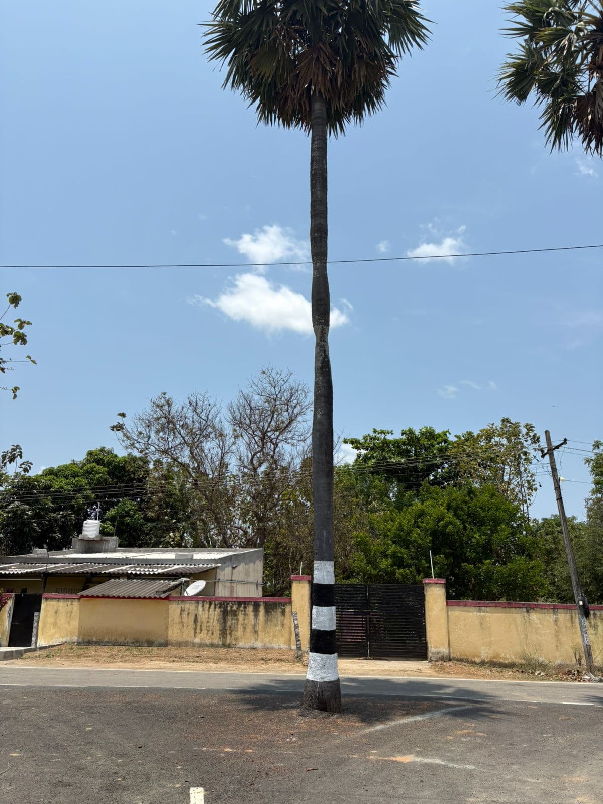 Residential Plots Sale at Thiruvalluvar Chennai - Image 7