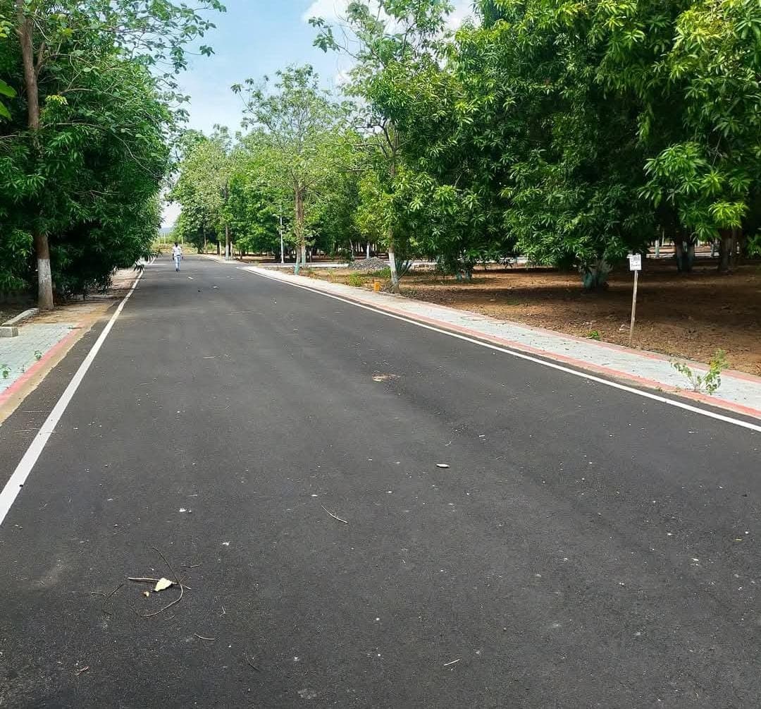 Invest in Farmland to safeguard your future/generations. - Image 4