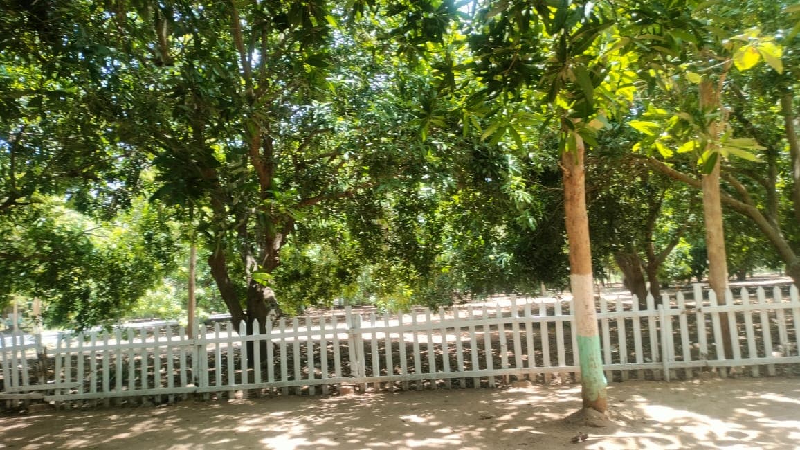 Invest in Farmland to safeguard your future/generations.