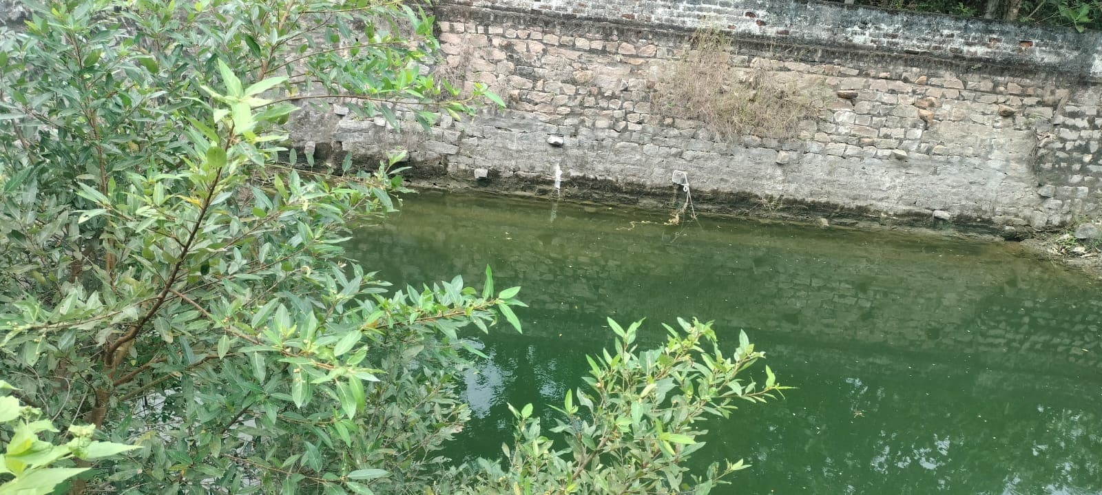 Farm land at Utheramerur - Image 2